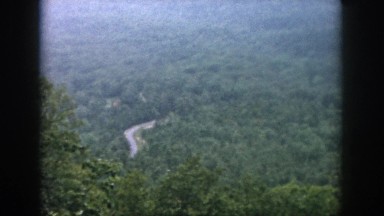 1958: what could be hidden in the jungle? DAYTON OHIO