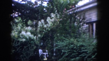 1958: backyard of house garden beautiful huge DAYTON OHIO