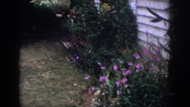 1958: the garden of a house with lot of flowering plants and beautiful chair