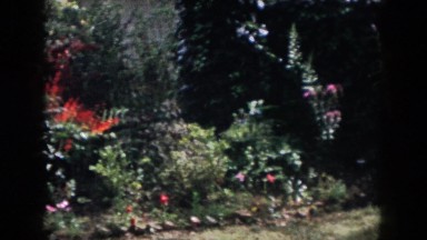 1958: beautiful garden near the house with colorful flowers and plants