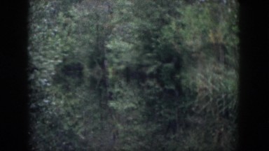 1958: thick forest walking thru creepy dangerous DAYTON OHIO