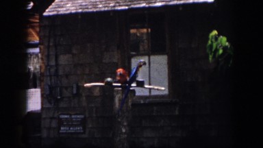 1958: Pair of Colorful Parrots Sit on Perch in Front of Brown Shingle Building