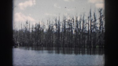 1958: tall grasses alongside river water beautiful scene clouds in sky