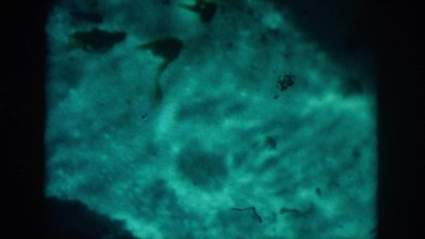 1958: deep water scene blue area dark shadow NEW ORLEANS LOUISIANA