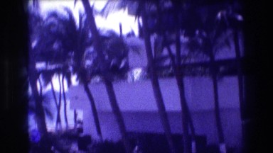 1982: palm trees outside of a building swaying in the wind ACAPULCO MEXICO