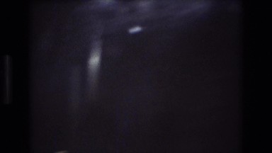 1975: dog walking through the forest BAXTER MAINE