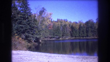 1975: huge trees along a water calm water coastal area BAXTER MAINE