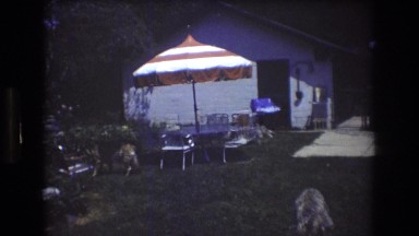 1976: typical caucasian family enjoying time in backyard on playground set