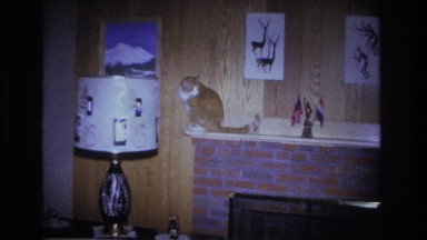 1966: christmas with the family and the cat HOBOKEN NEW JERSEY