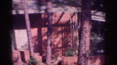 1963: zoom out to see house with red bricks trees shady MEMPHIS TENNESSEE