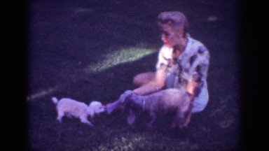 1962: lady pet playing snatching something cute sitting in park running