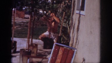1962: a man and his trees. BLAINSPORT PENNSYLVANIA