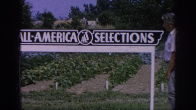 1962: man posing by a garden sign. BLAINSPORT PENNSYLVANIA