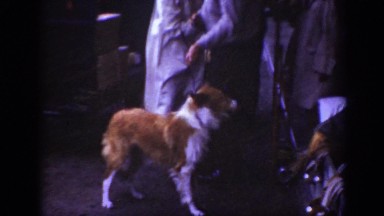 1962: man holding dog on leash RALEIGH NORTH CAROLINA