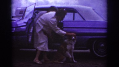 1962: the old lady lets the dog in the car and about to set off RALEIGH