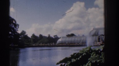 1961: a beautiful nature like park. IRELAND