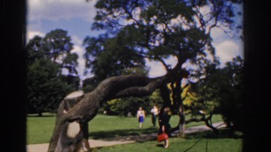 1961: people walking around in a public park. IRELAND
