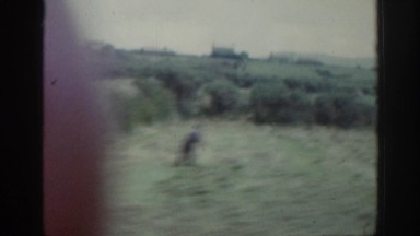 1961: view of farmer fields while speeding through rural area IRELAND