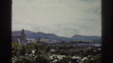 1961: viewing of flowers out in nature. IRELAND