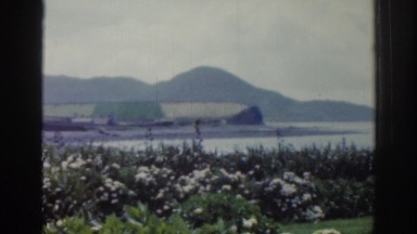 1961: view of a large landscape of flowers and mountains in the distances