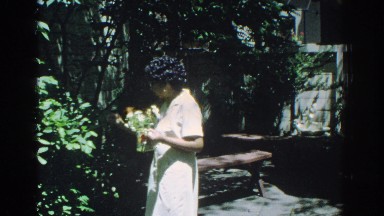 1971: Old Afro-American Woman Collecting Flowers in Miami Garden