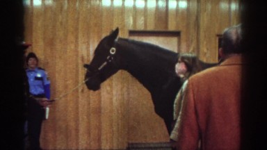 1976: horse buyers talking about pony in barn WATKINS GLEN NEW YORK
