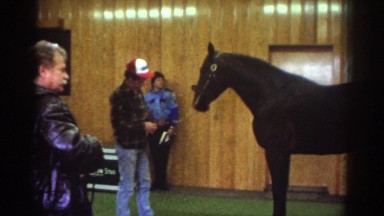 1976: a farmer with his horse inside a building while others look on WATKINS
