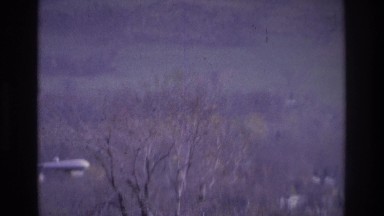 1975: a view of a forest in autumn, with a town and plains in the background