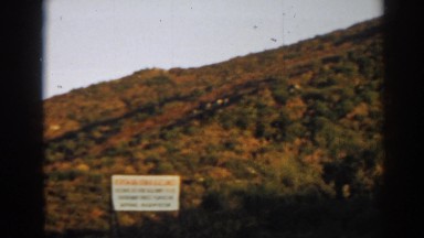 1962: sagebrush along a hillside. EPHESUS TURKEY