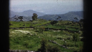 1962: nature shots up-close and far away of beautiful wetlands, mountains