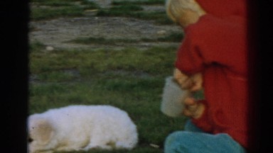 1962: boy feeding puppy dog at barracks style living EPHESUS TURKEY