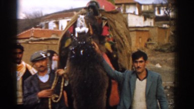 1962: three men gathered around a camel foaming at the mouth IZMIR TURKEY