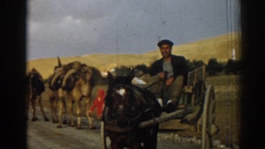 1962: a cigarette smoking fellow leads a caravan of camels with a horse drawn