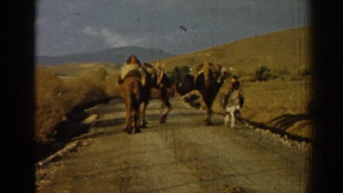 1962: herder and infant child lead the way for a caravan of camels. IZMIR TURKEY