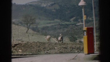 1962: oxen and man plowing pasture near a gas station. IZMIR TURKEY