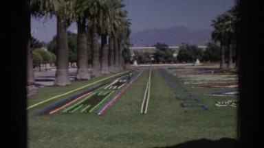 1962: a large park lined with palm trees and a mountainous background IZMIR