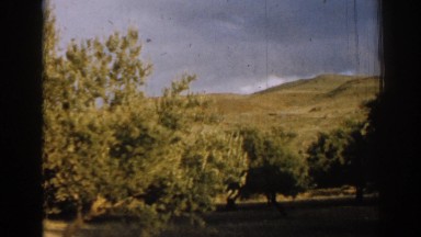 1962: a serene landscape with trees and rolling hills IZMIR TURKEY