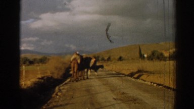 1962: Camels in the Middle of the Road, Izmir Turkey