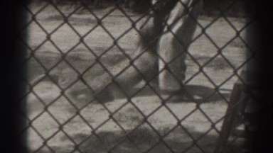 1937: animal being treated bad in a caged area EL MONTE CALIFORNIA