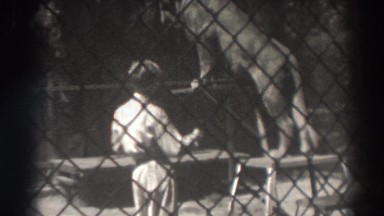 1937: zookeeper directs large cat into balancing on a pole EL MONTE CALIFORNIA