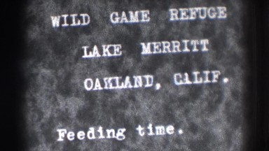 1937: wild game refuge lake merritt oakland, calif. feeding time. OAKLAND