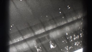 1938: several fish swimming in a man made stream of water or pool BONNEVILLE DAM