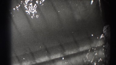 1938: salmon swim up the ladder at a fishery. BONNEVILLE DAM OREGON