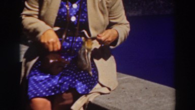1937: chipmunk sitting on a woman's lap eating out of her hand LAKE TAHOE