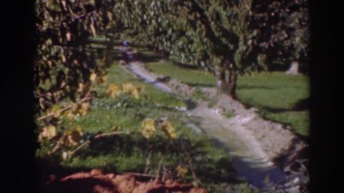 1937: sunny day in the countryside, a path made through nature SACRAMENTO