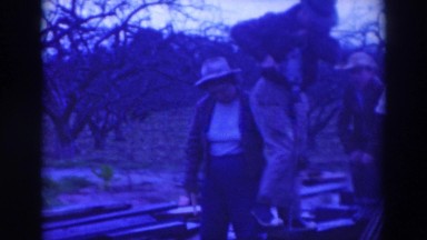 1937: man and family drill holes in boards for farm. SACRAMENTO CALIFORNIA