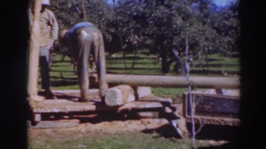 1937: two men utilizing a pulley mechanism to lift a log onto a cart SACRAMENTO