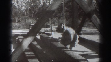 1937: man working on the logs. SACRAMENTO CALIFORNIA