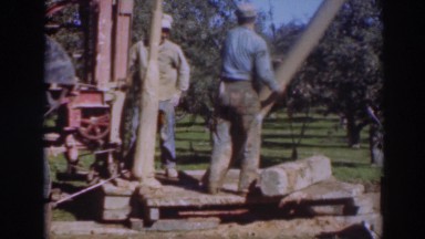 1937: loggers working hard. SACRAMENTO CALIFORNIA