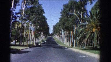 1967: a lonely street with trees accompanying the sides. PERTH AUSTRALIA